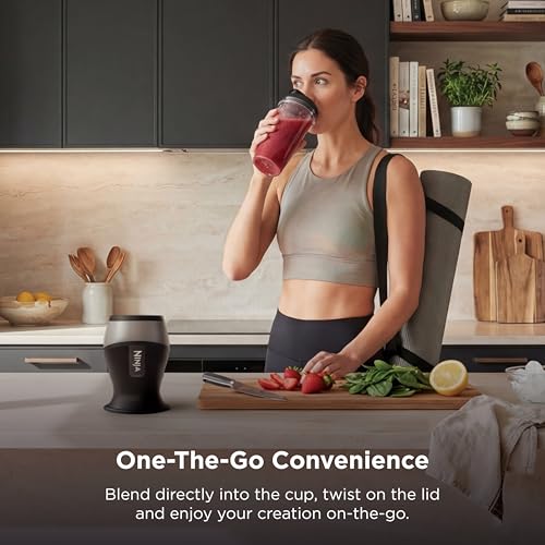 Best Affordable Blender for Smoothies product detail