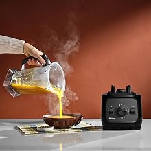 Best Blender for Frozen Fruit product detail