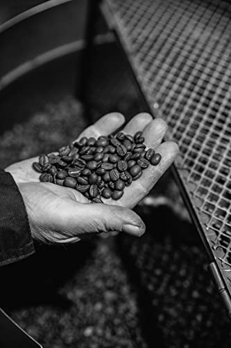Best Coffee Beans for Breville Espresso Machine product detail