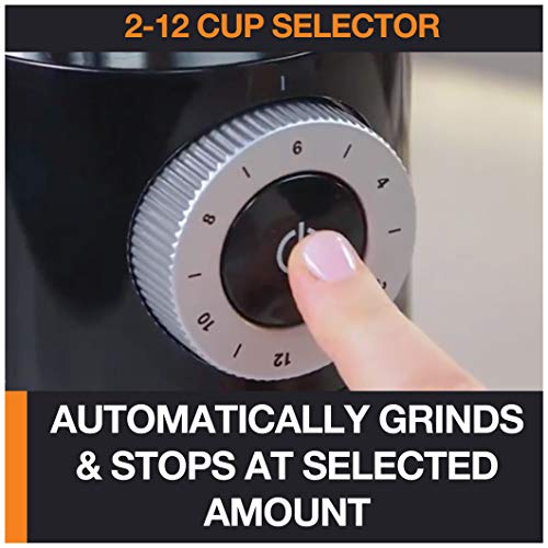 Best Coffee Grinder product detail