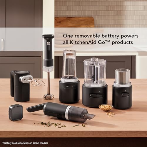 Best Cordless Immersion Blender product detail