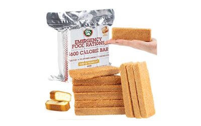 Best Emergency Food Bars 2026: High-Calorie Survival Rations