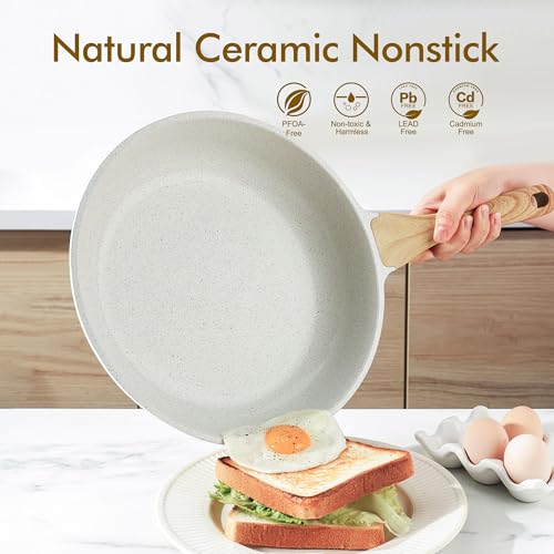 Best Non Stick Skillet for Induction Cooktop product detail