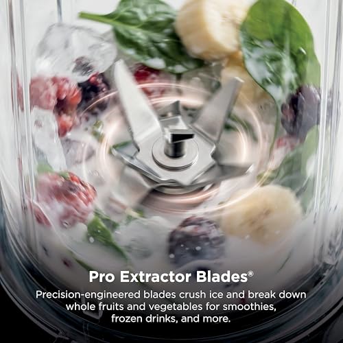 Best Single Smoothie Blender product detail