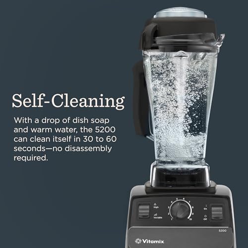 Best Vitamix Blender product detail