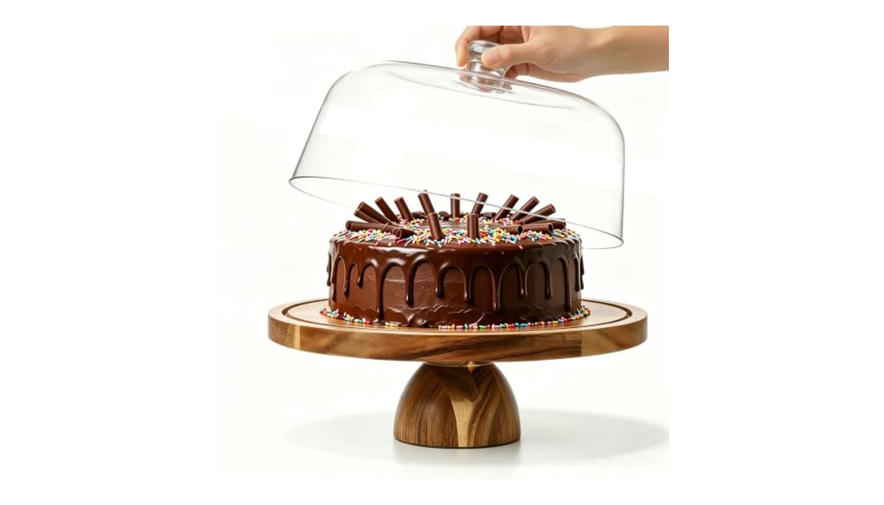 Best Cake Stand with Lid 2026: Covered Displays We Love
