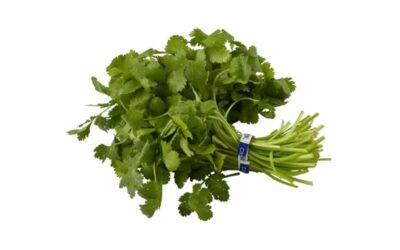 Fresh Cilantro Guide 2026: How to Buy, Store, and Use It