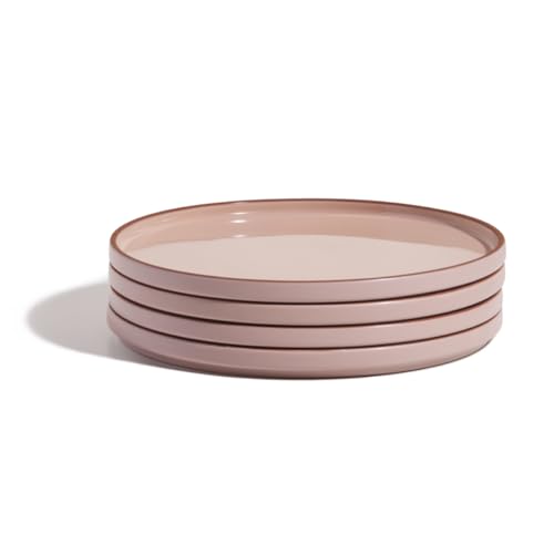 Our Place Plates 2026: Are the Viral Ceramic Dishes Worth It? 13 Our Place Spice Dinner Plates Set of 4 - 10.5 Inch Handcraft — close-up